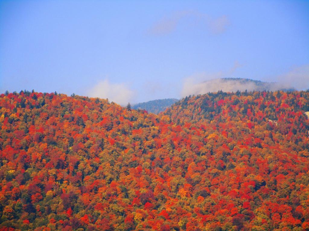Photo: Fog Rises Off Snowy Mountain