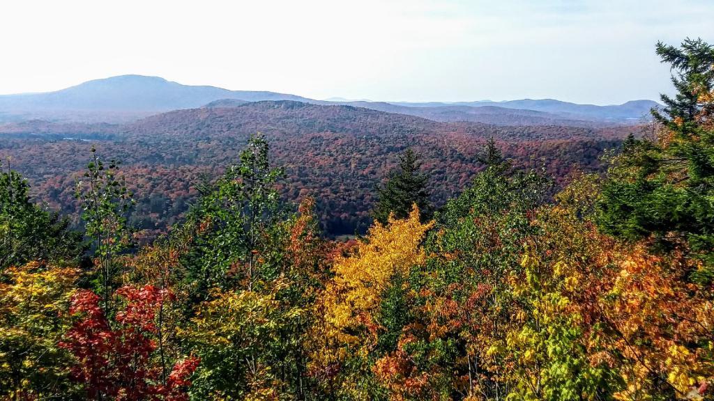 Photo: Colors are past peak looking down at the Blue Ridge Wilderness