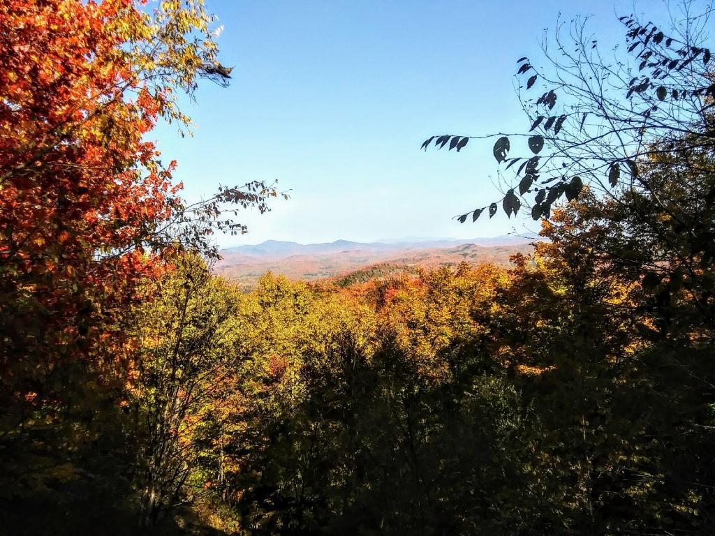 Photo: East view from Sawyer is more colorful