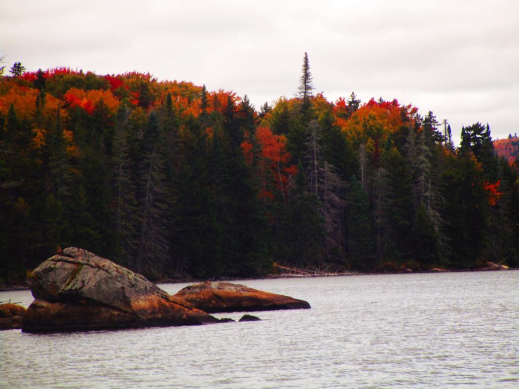 Photo: Autumn Colors