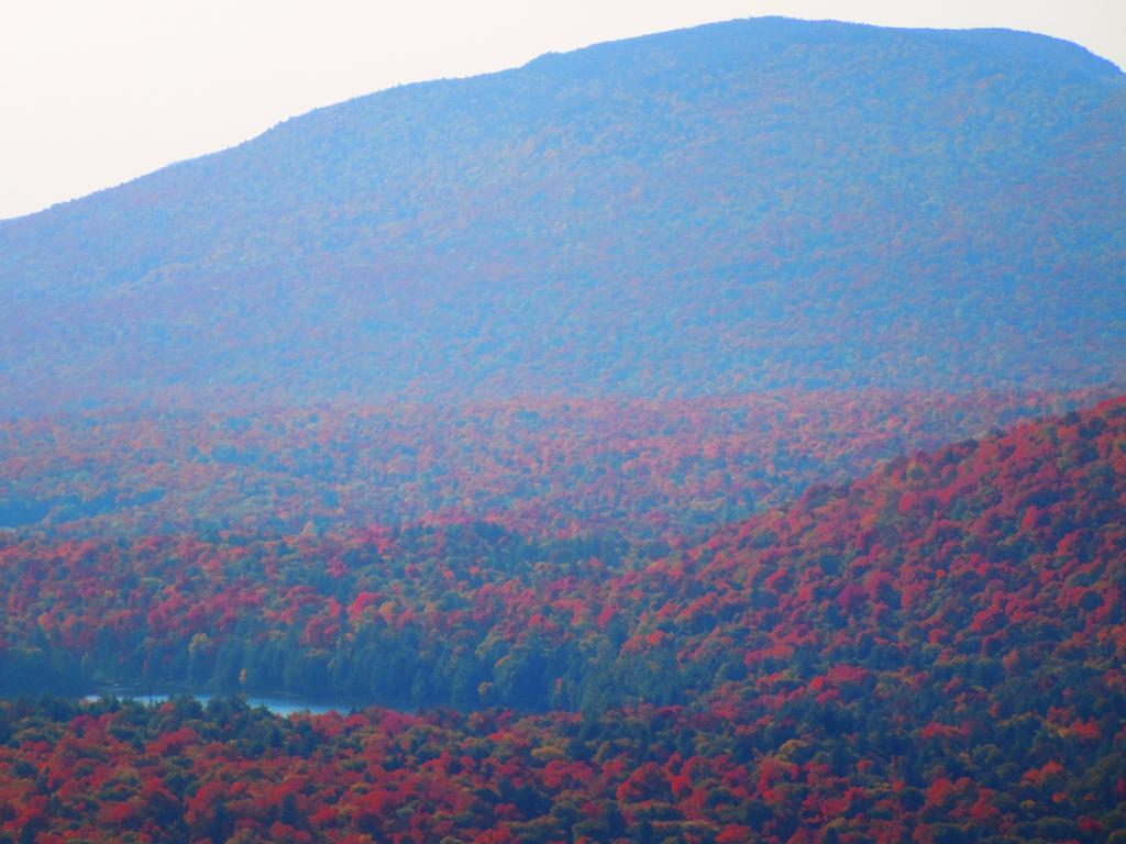 Photo: Wakely Mountain and Pond