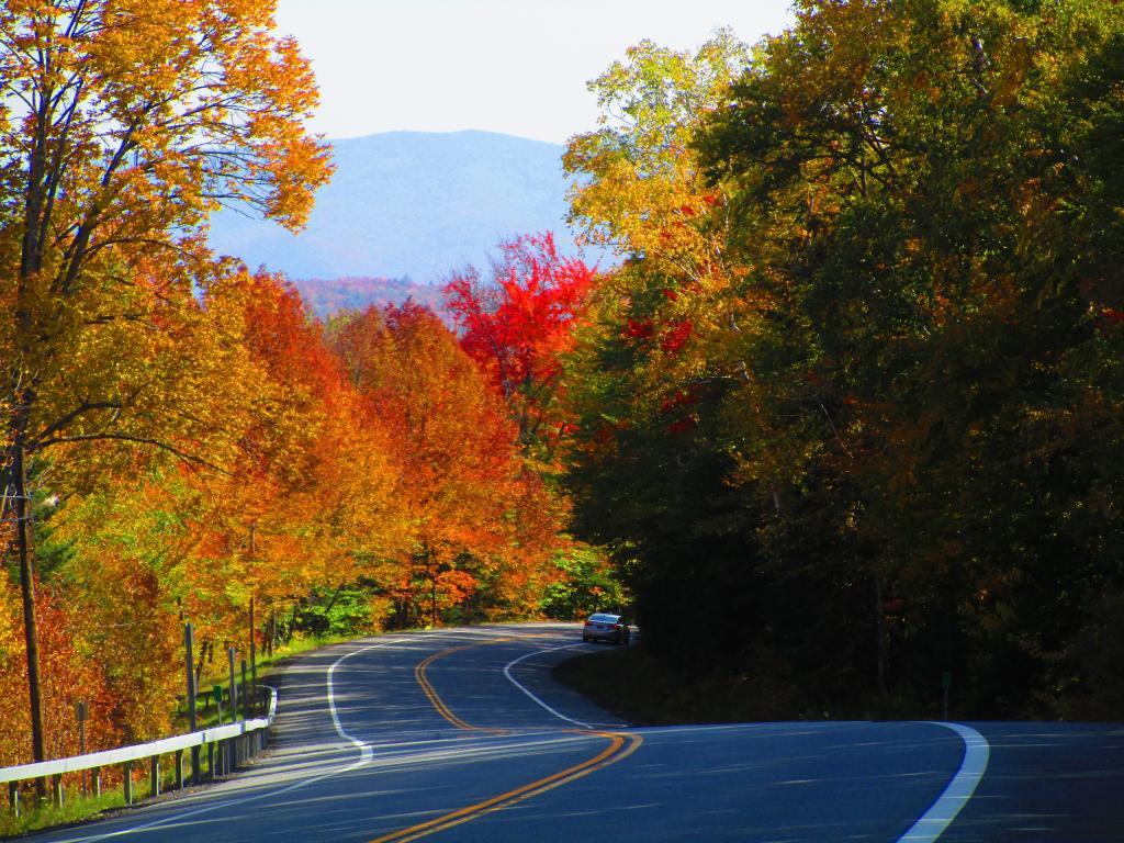 Photo: NY 30 Heading Off Sawyer Mountain
