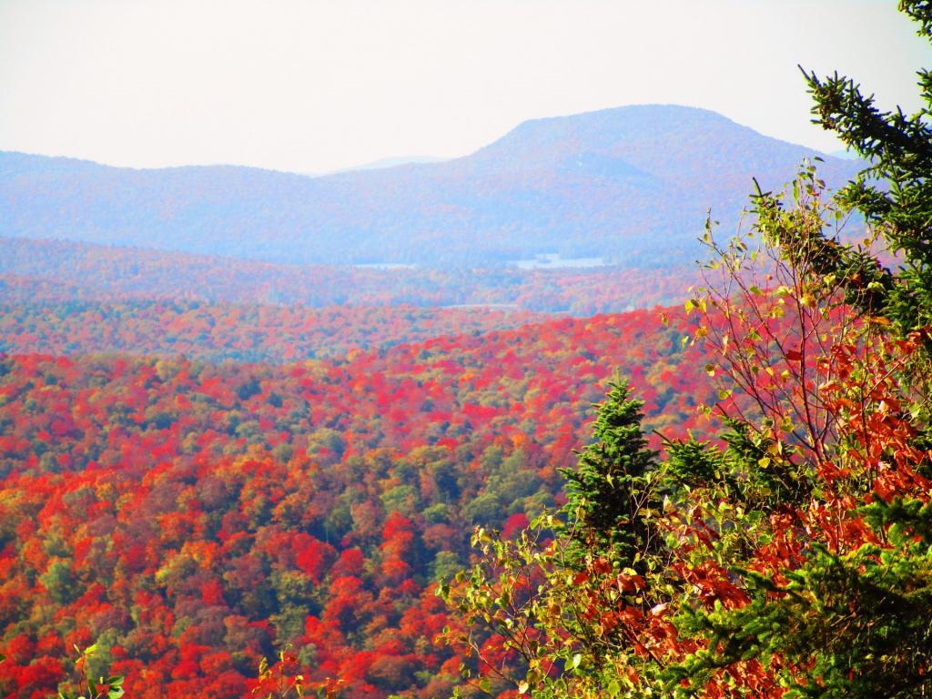 Photo: Blue Mountain