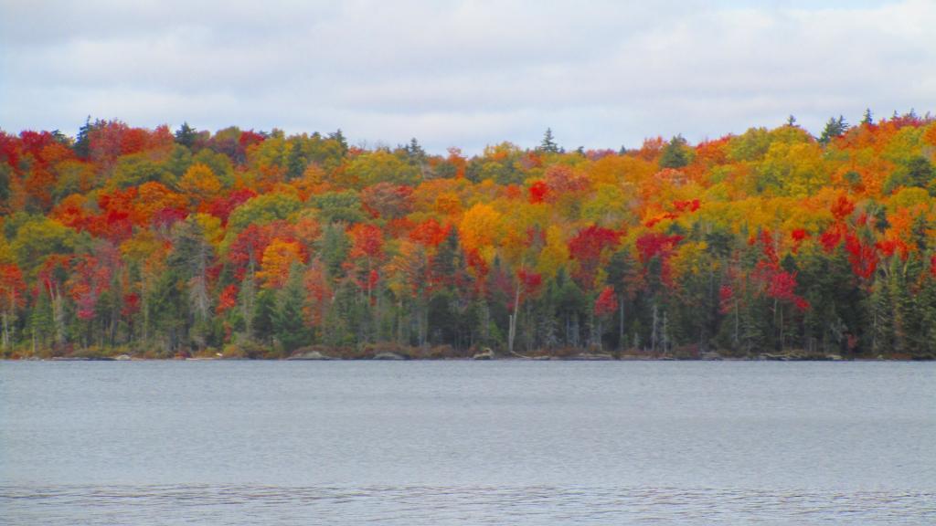 Photo: Reds of Autumn