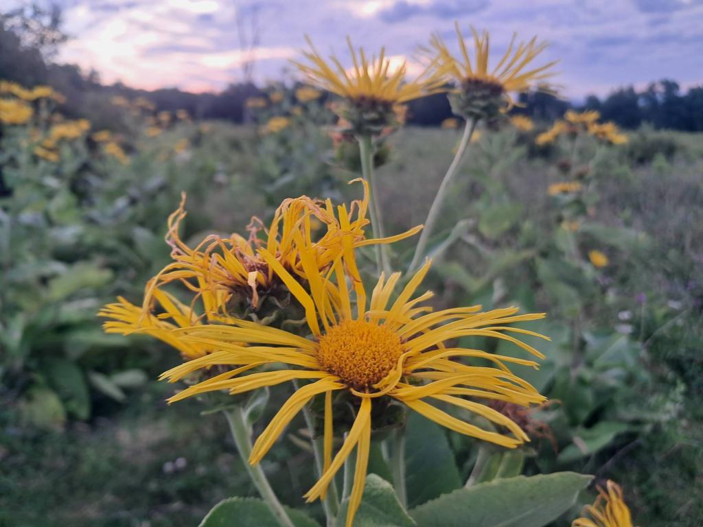 Photo: Untitled [Expires August 19 2026]