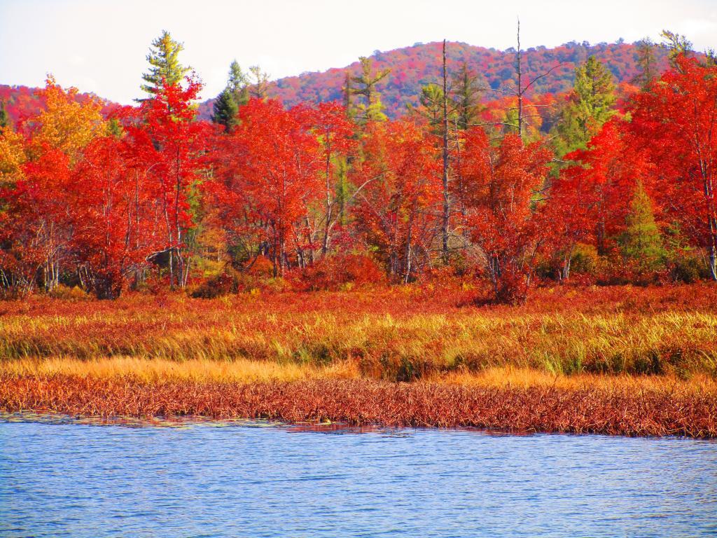 Photo: Along the Sacandaga River