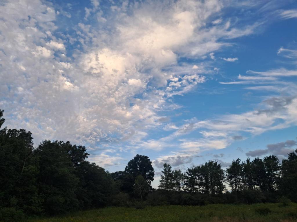 Photo: Untitled [Expires August 19 2026]