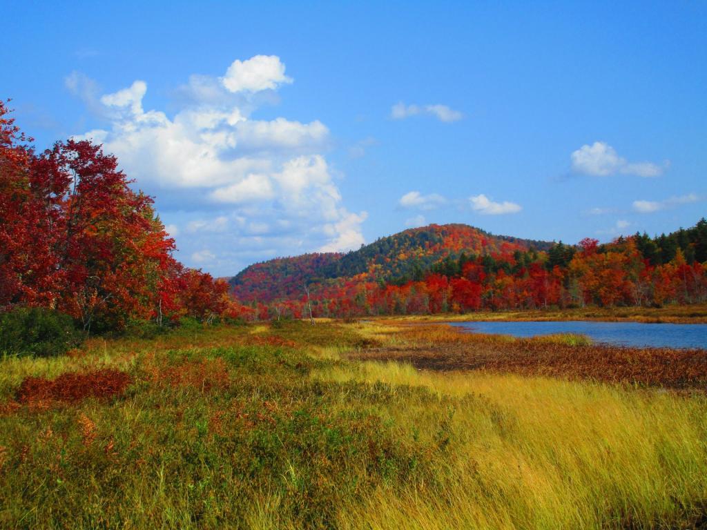 Photo: Rift Hill