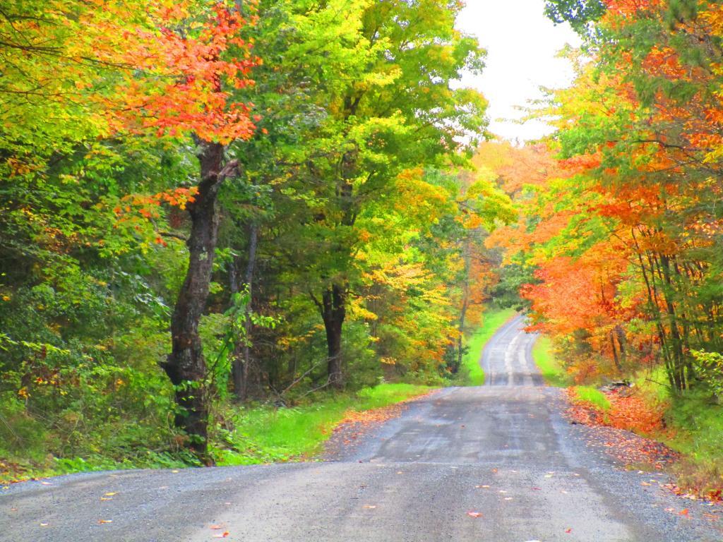 Photo: Bradt Hollow Road