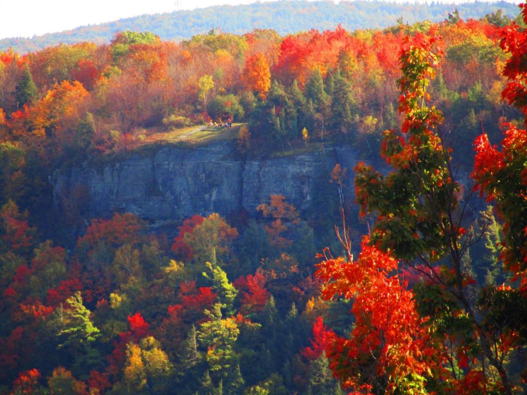 Photo: Hang Glider Cliff
