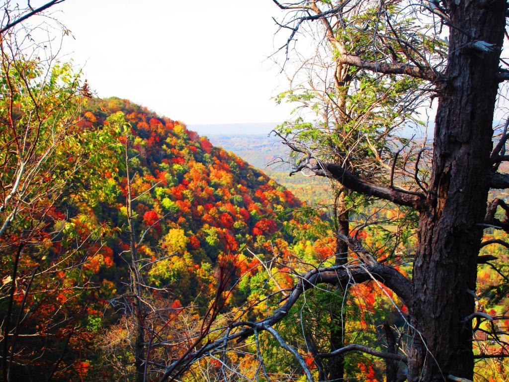 Photo: North