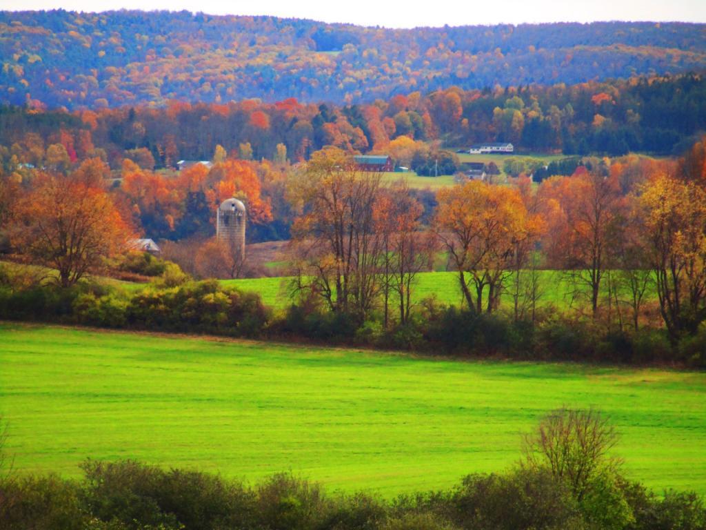 Photo: As the Seasons Change