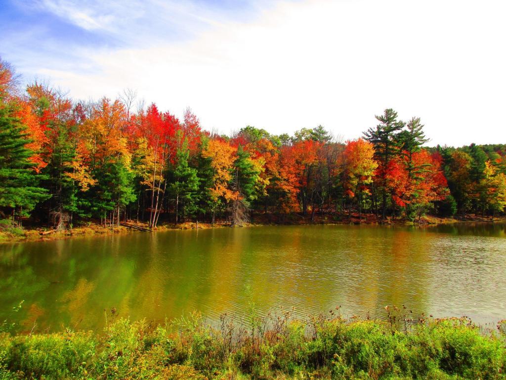 Photo: Spiegelton Pond