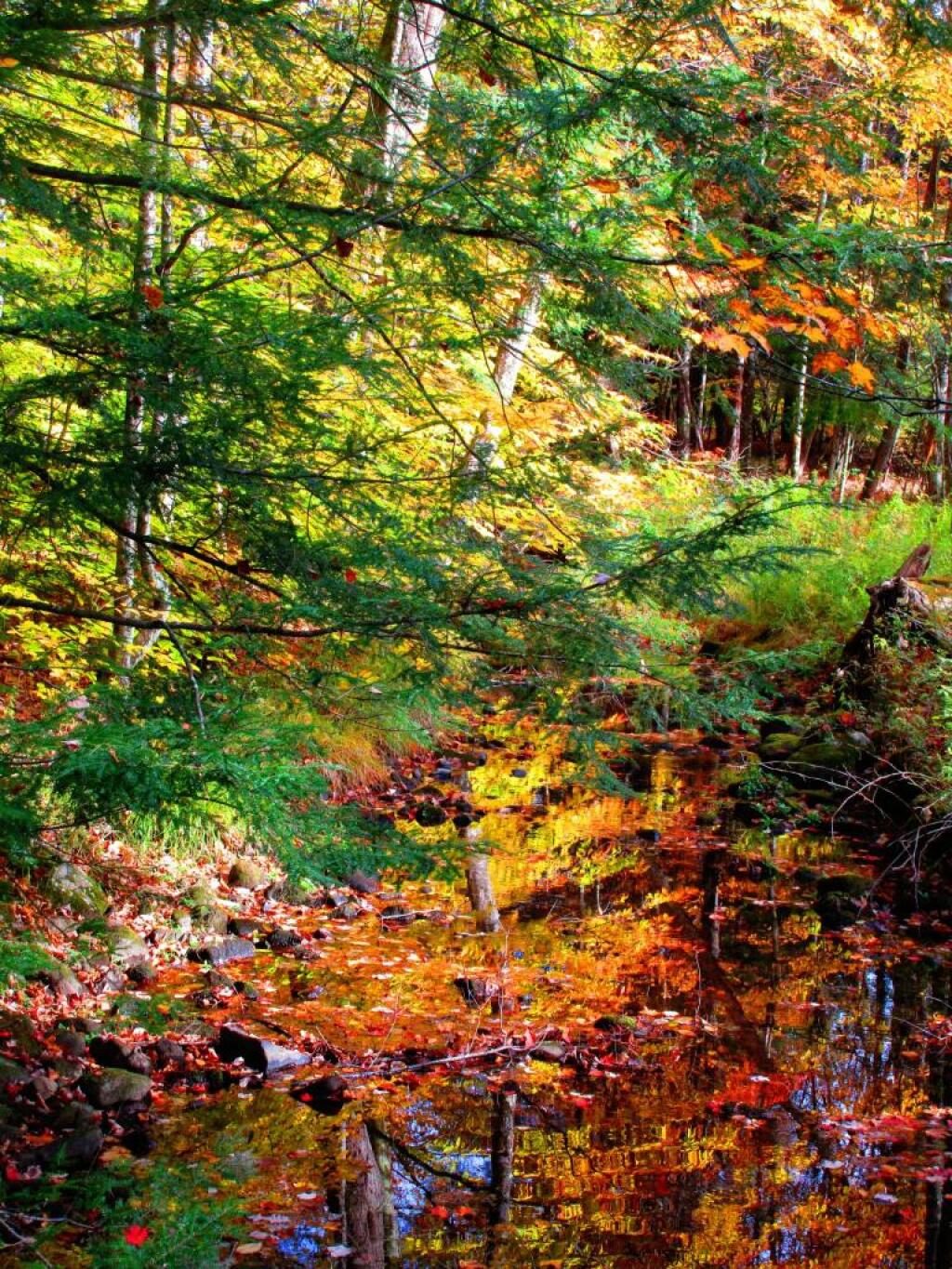 Photo: Hand Hollow Creek