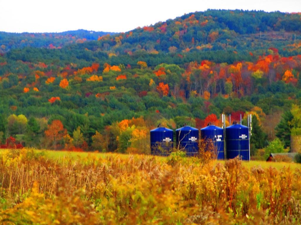 Photo: Glass Lined Silos