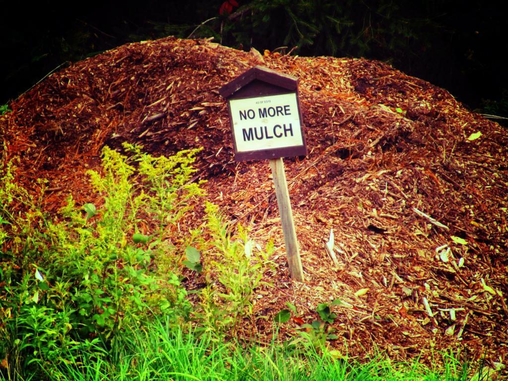 Photo: No More Mulch