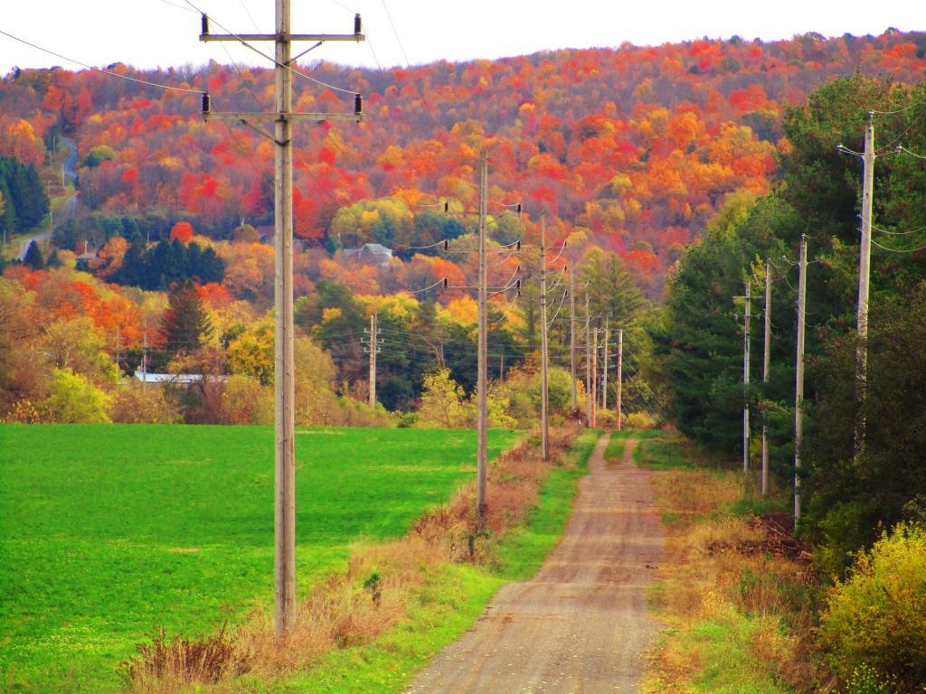 Photo: Access Road