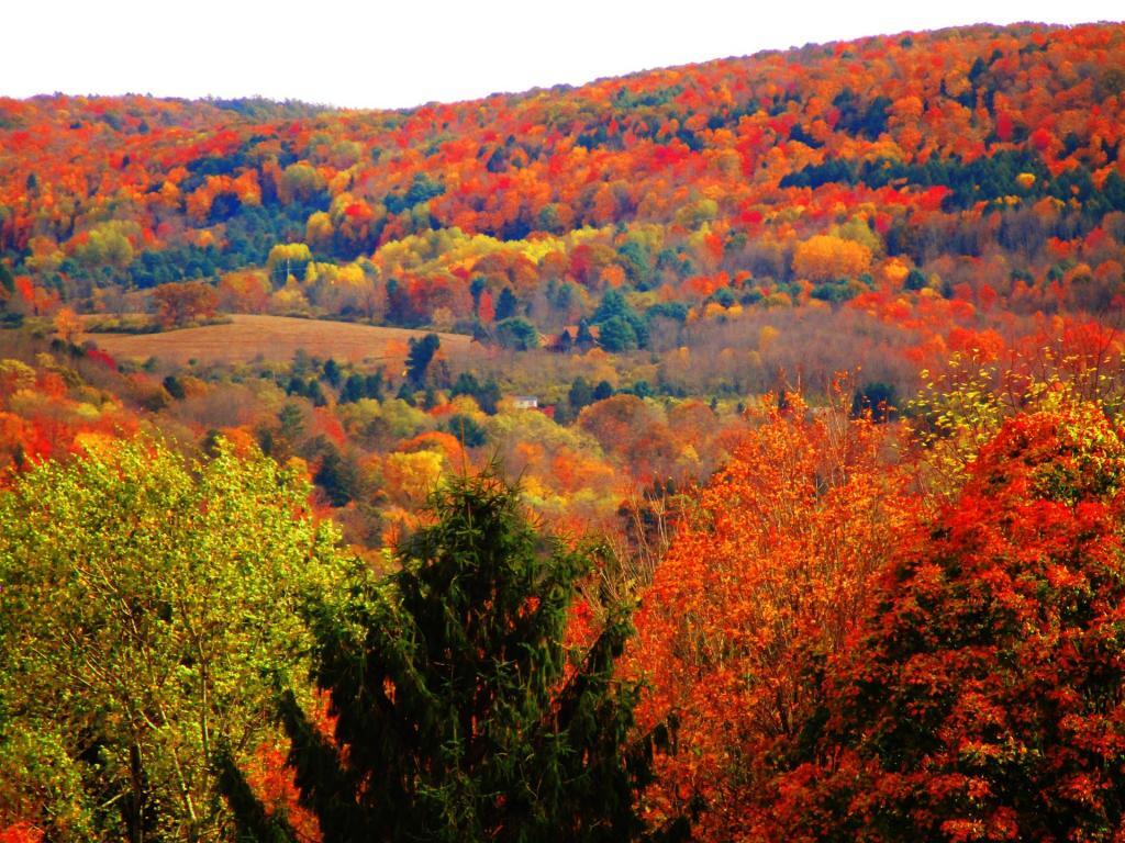 Photo: Hills of Color