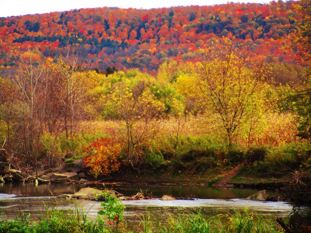 Photo: Chenango River