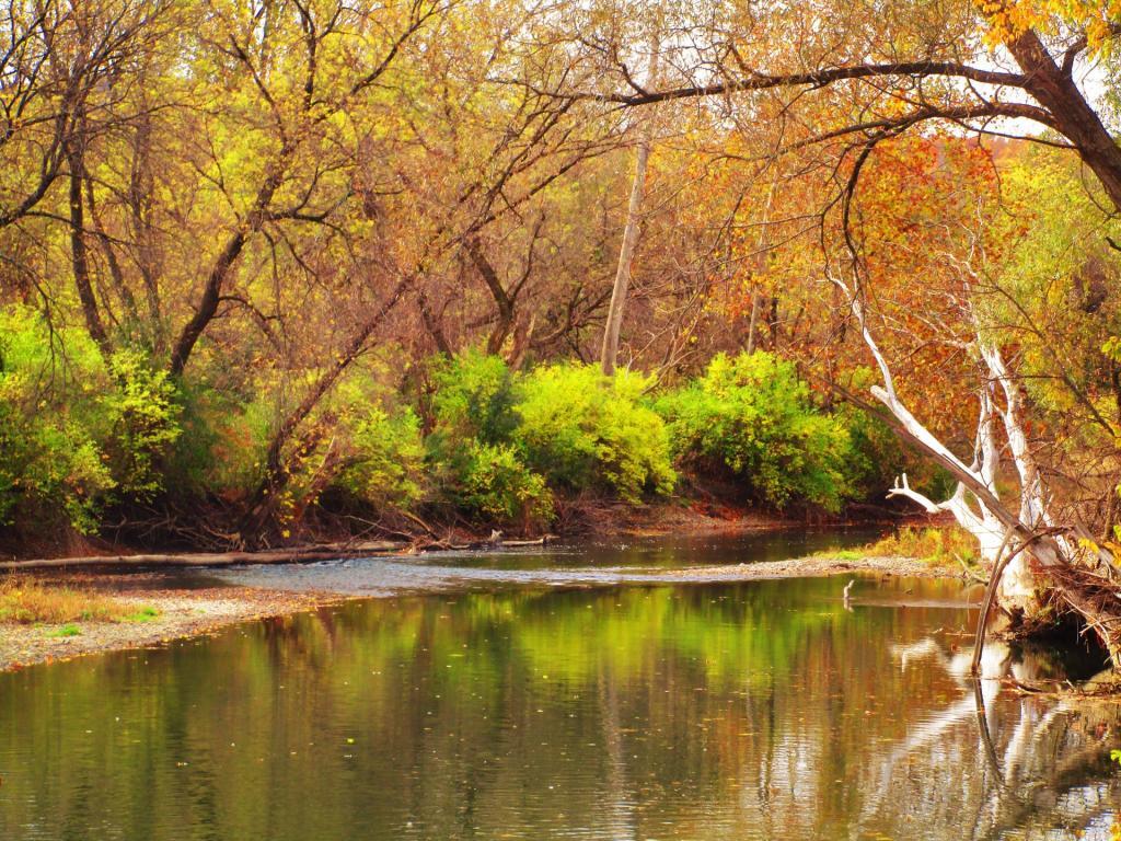 Photo: Not a Lot of Water in the Chenango River