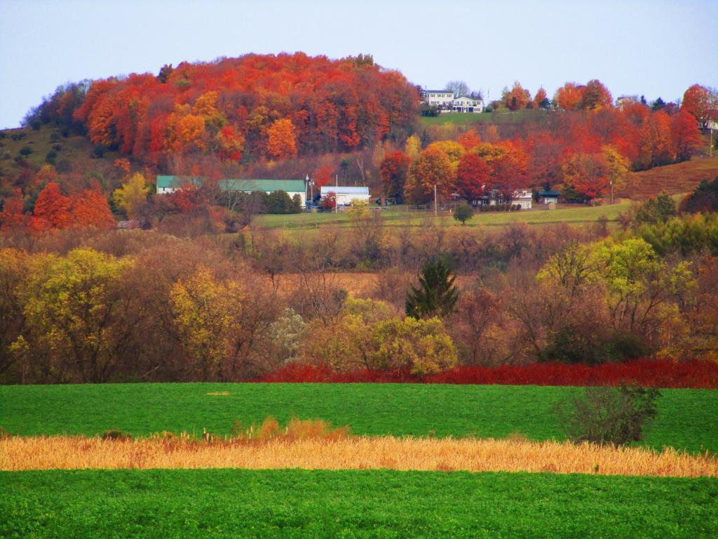 Photo: North Towards Earlville