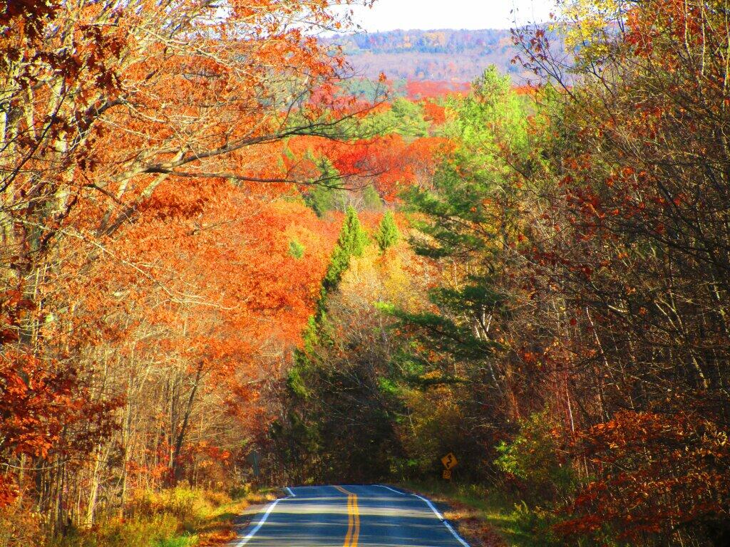 Photo: Ravine Road