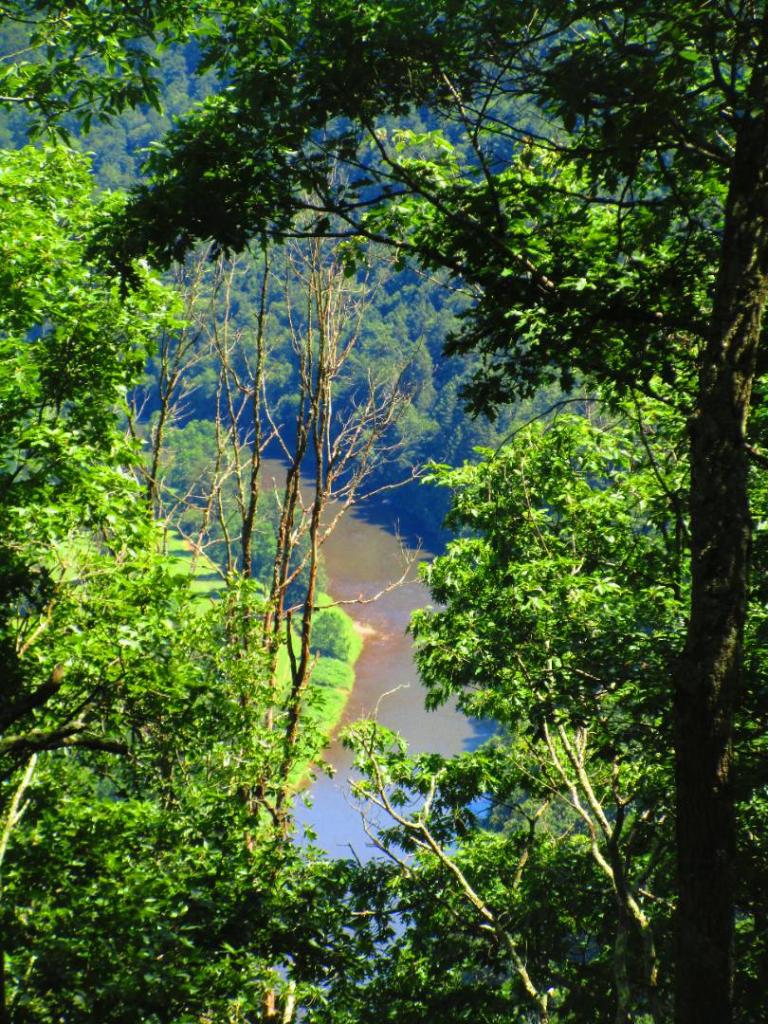 Photo: Pine Creek [Expires August 20 2026]
