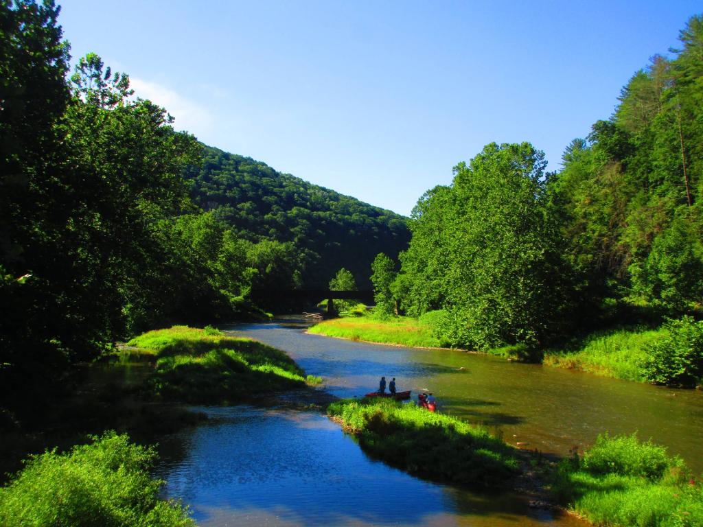 Photo: Pine Creek in Blackwell