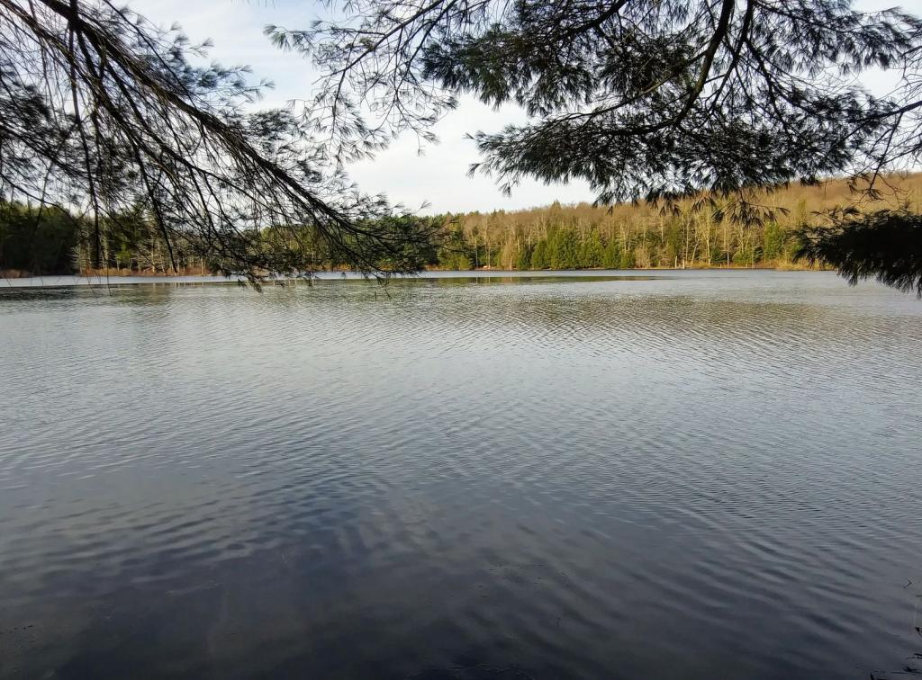 Photo: Stoney Pond
