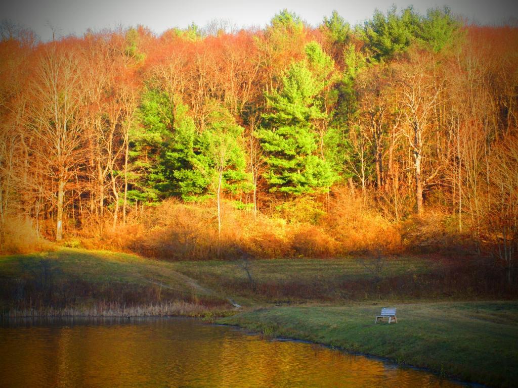 Photo: Down at Stoney Pond 🐠
