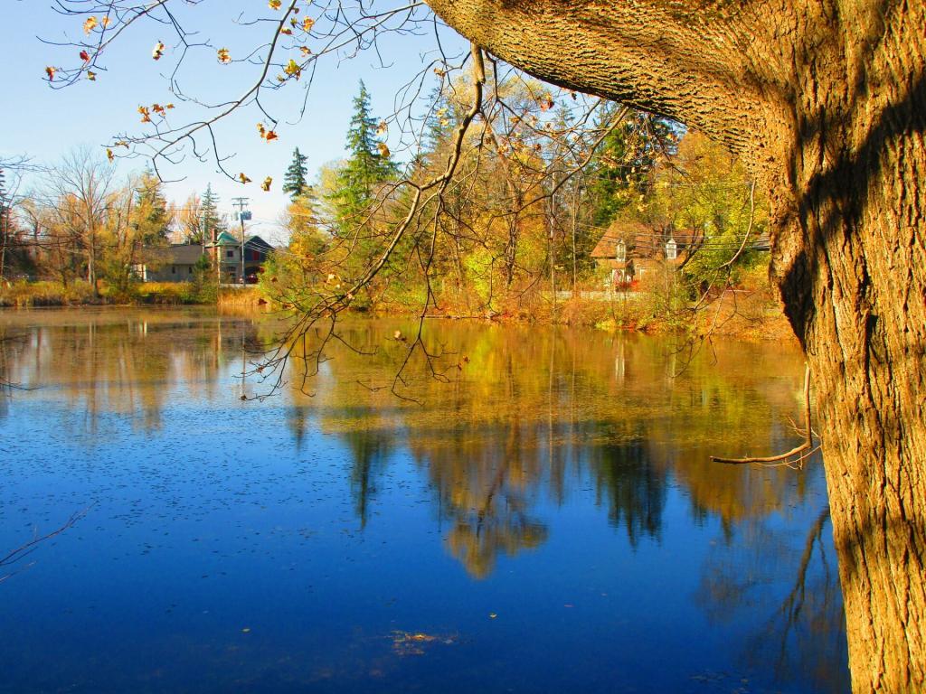 Photo: Mill Pond off of Chittenango Creek