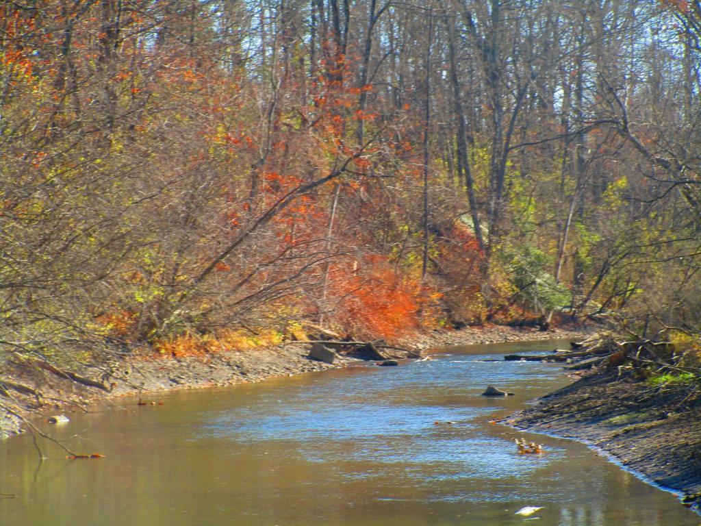 Photo: Chittenango Creek