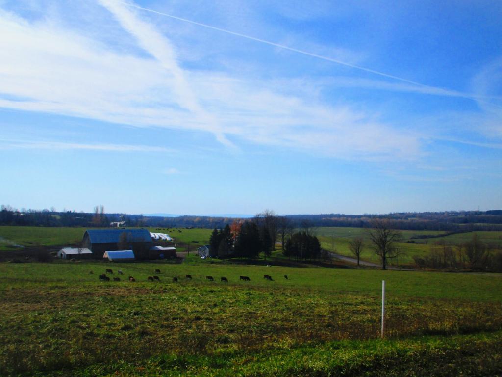 Photo: Farm along Mile Strip Road