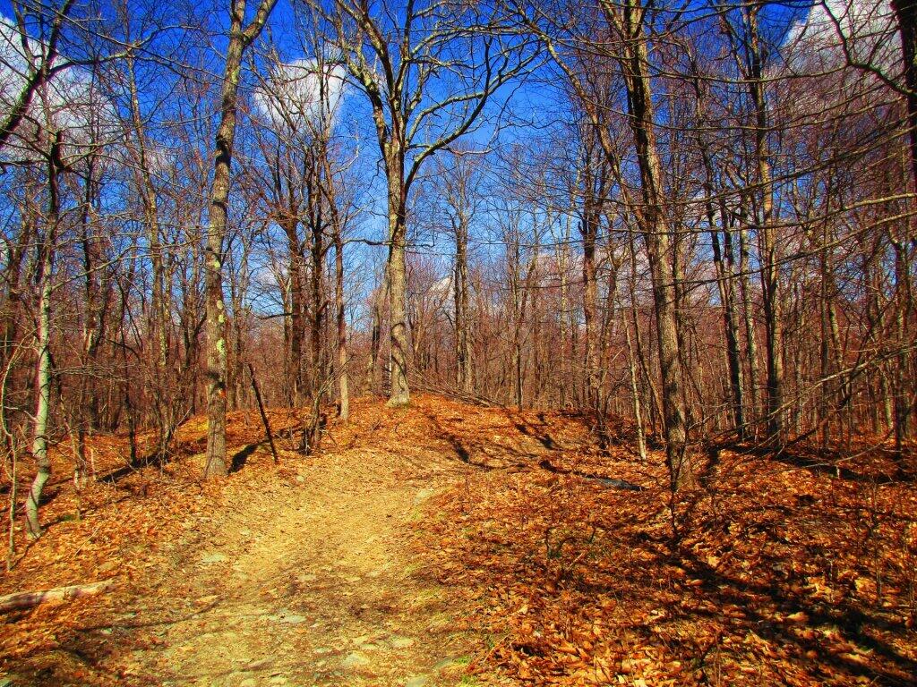 Photo: Taconic Skyline Trail