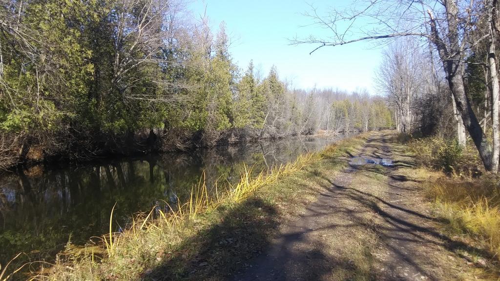 Photo: Beautiful day for a walk along the Chenango Canal