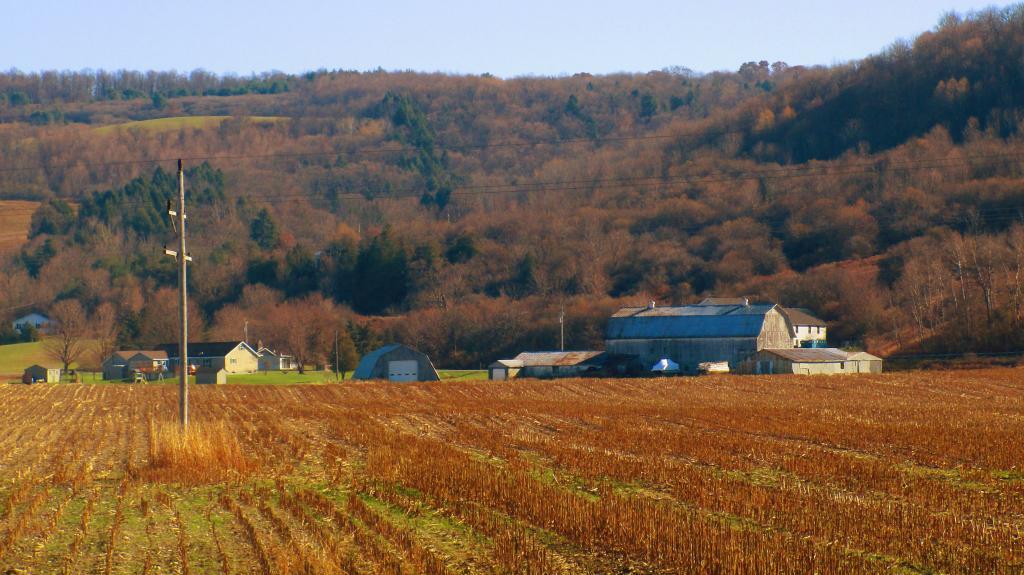Photo: November Scene