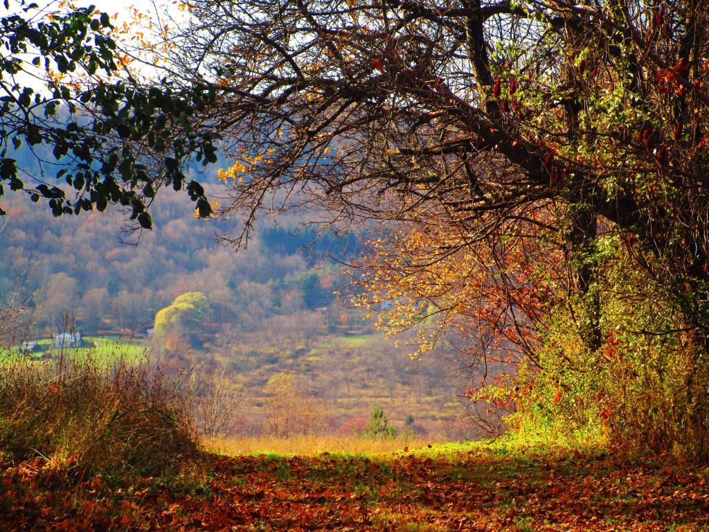 Photo: Across the Gorge