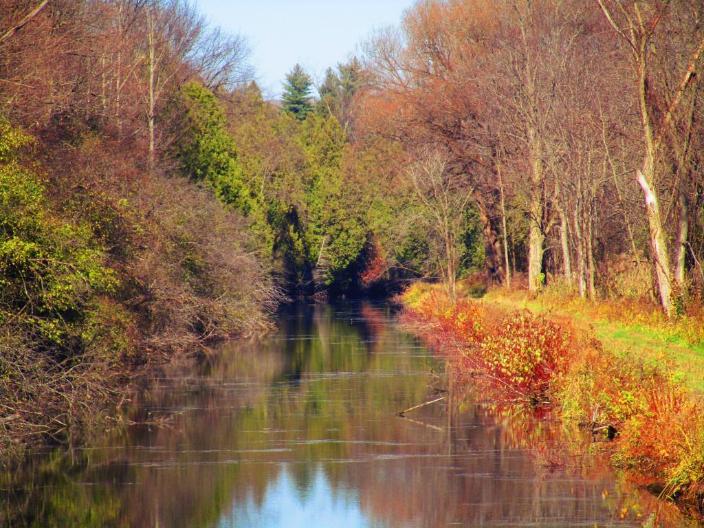 Photo: The Canal