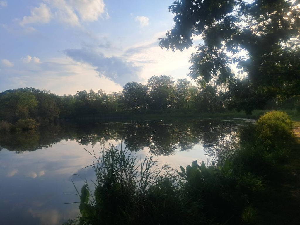 Photo: Untitled [Expires August 21 2026]