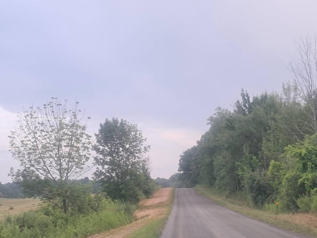 Photo: Riding back to camp [Expires August 21 2026]