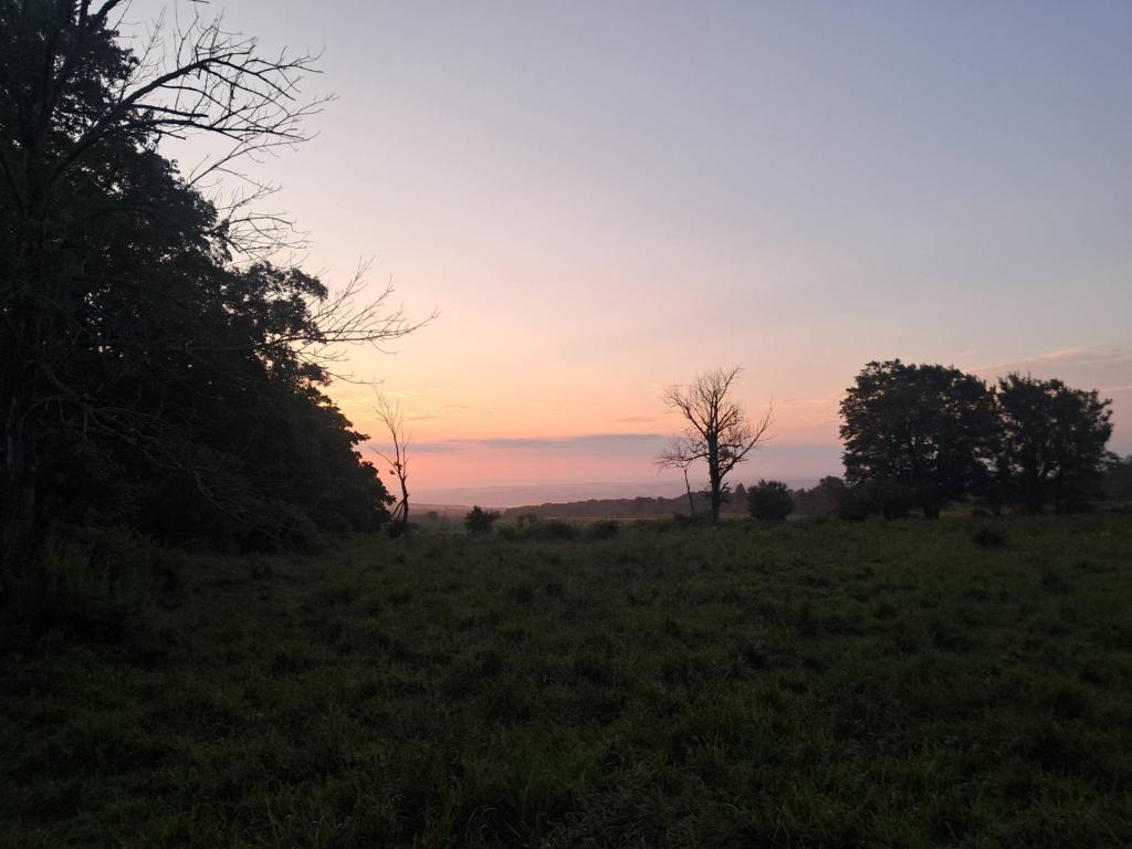 Photo: Fog [Expires August 22 2026]