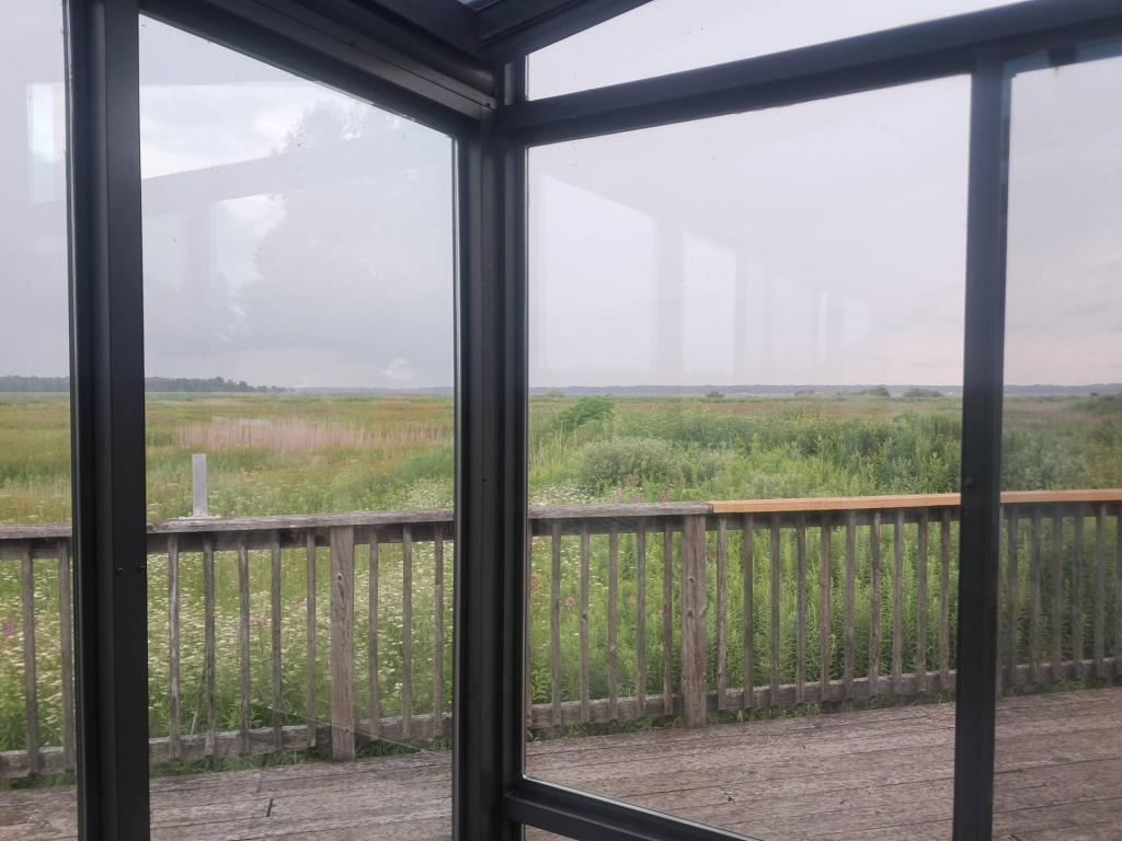 Photo: Rain comes down [Expires August 22 2026]