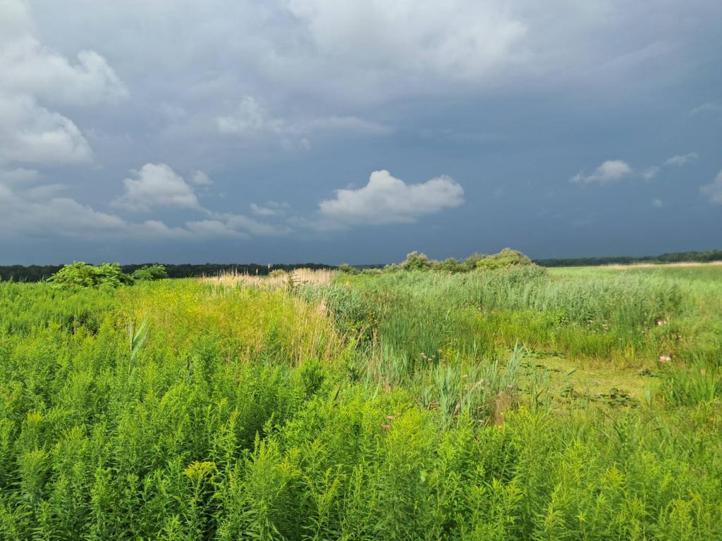 Photo: Thunderstorm [Expires August 22 2026]