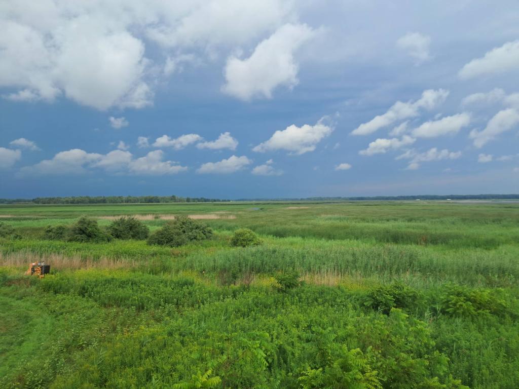 Photo: Clouds [Expires August 22 2026]