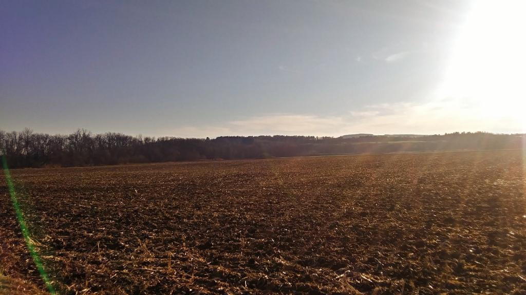 Photo: Rich soils of the lands along the Schoharie