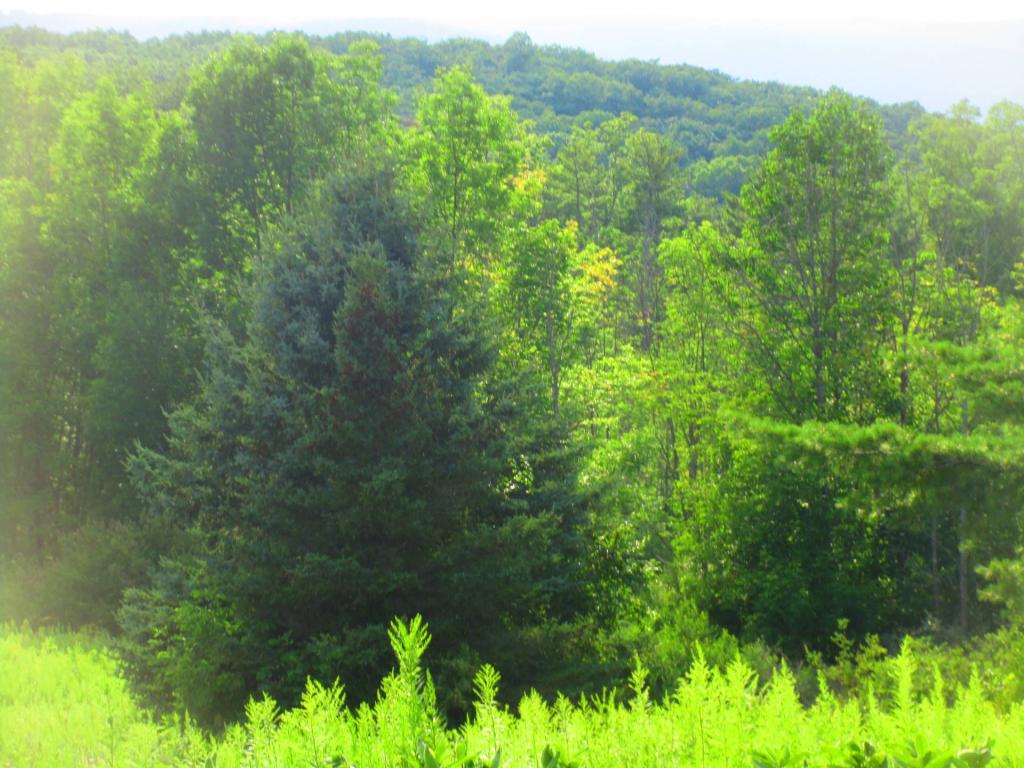 Photo: Untitled [Expires August 22 2026]