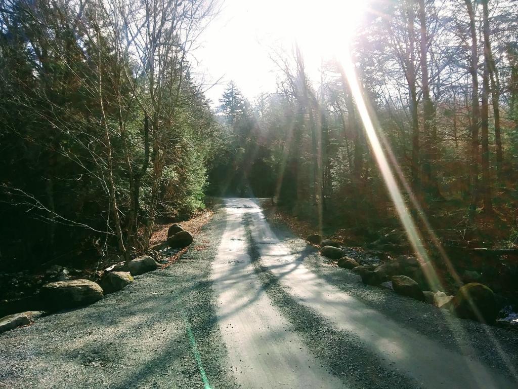 Photo: Brayhouse Brook Crossing