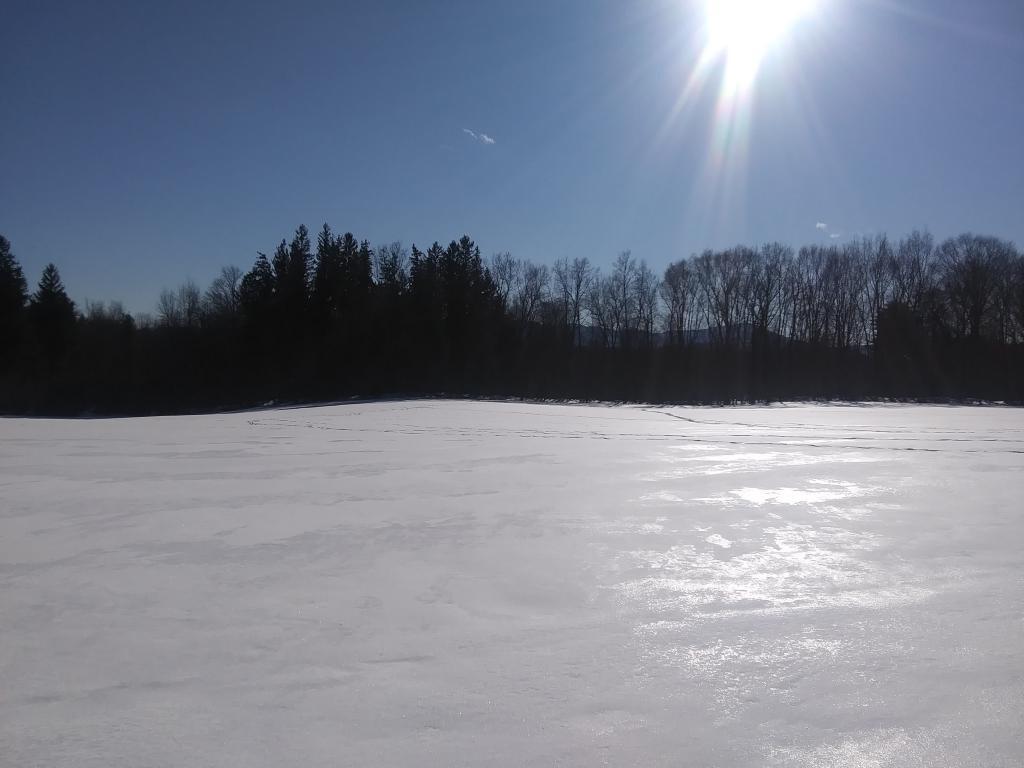 Photo: Shinny