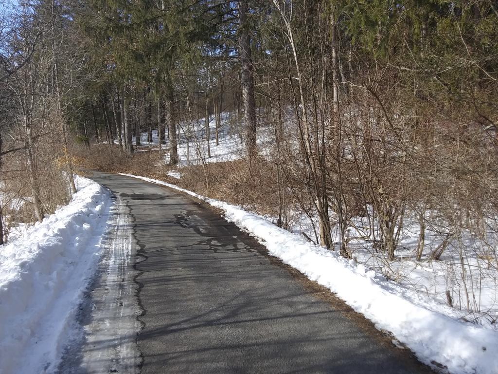 Photo: Carriageway