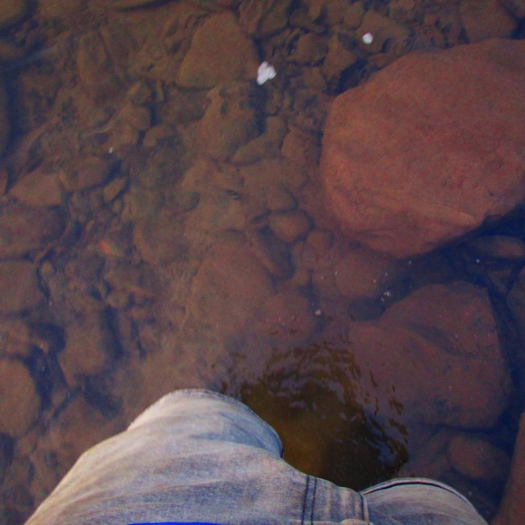 Photo: Wading in the Susequehanna